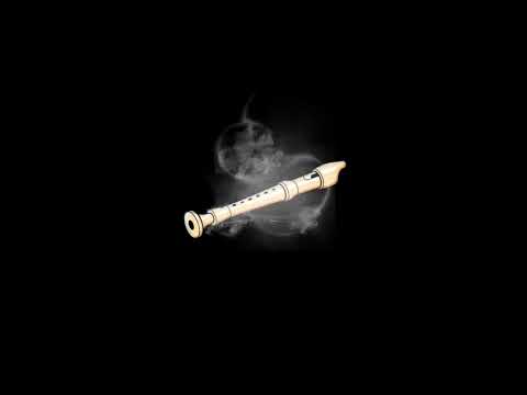 Flute Trap Beat - "NighTt" - Rap instrumental