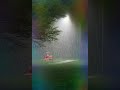 Rain Video Rain Status Happy Rainy Day Status Rain Whatsapp Status Rain And Relaxing Music