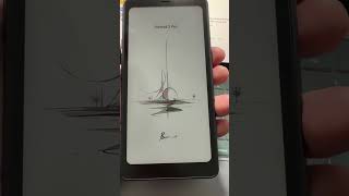 Locked out of New Boox Palma2 Pro | Factory Reset