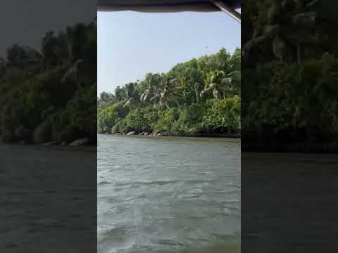 Golden sand beach at Kolvam March 2022