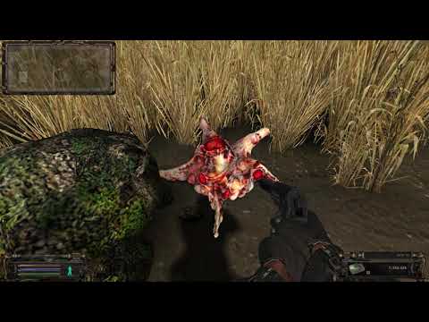 Сталкер ОП-2.1 Расположение биомасс на болотах (необычный контролер, красный мозг)