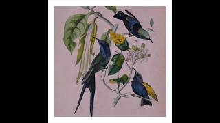 Susumu Yokota - Tobiume