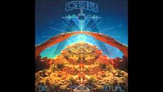 Chris Robinson Brotherhood  -  Tulsa Yesterday