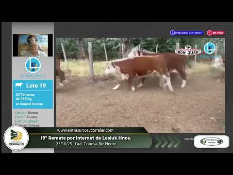 23-10-25 - 19º Remate por Internet de Lesiuk Hnos. - Gral Conesa, Río Negro
