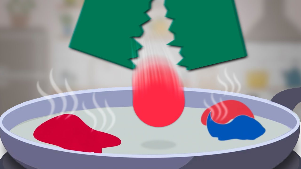 Exploring the Quirky World of Flags: A Fun Journey | Galaxy.ai