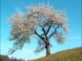 Antonio Vivaldi Four Seasons Complete At 432 Hz Tuning