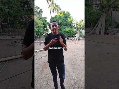 **Gran apagón azota al corregimiento de La Pacha, Bolívar, y sus alrededores.**