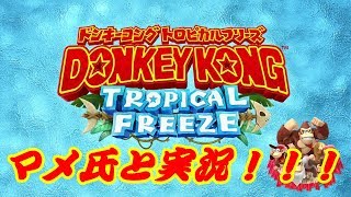 ドンキーコング トロピカルフリーズ を実況プレイ！！ Nintendo Switch 版！ 【papergame】【セカンド】