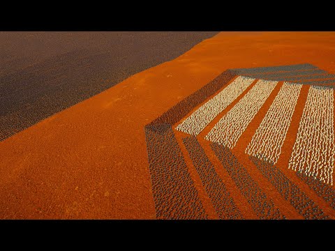 15.000 HUMAN ARMY vs 76.000 ORCS - Epic Fantasy Battle Simulator