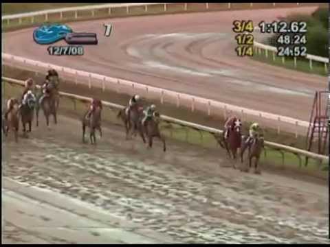 Clásico del Caribe 2008 - Sicótico (DOM)