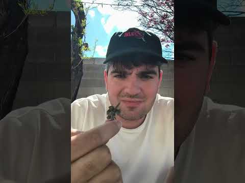 Lost resin casting guide