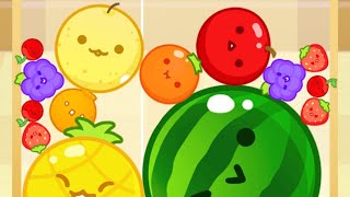 【スイカゲーム🍉雑魚プレイヤーによるアホみたいな粘りをしていくぅ～～っ！！😗😗】