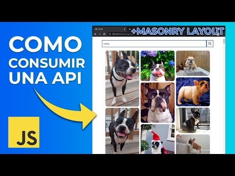 COMO CONSUMIR UNA API CON JAVASCRIPT +MASONRYLAYOUT