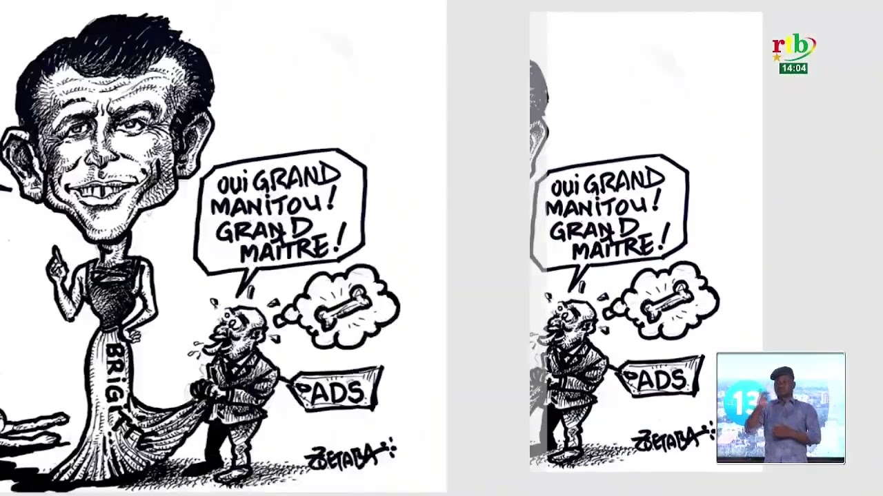Les caricatures inspirées des propos d’Emmanuel Macron passées au crible