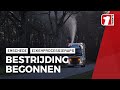 Bestrijding eikenprocessierups van start