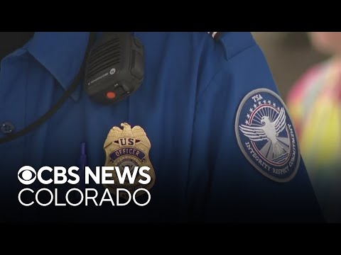 Denver Security Wait Time