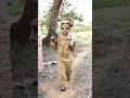Indian Army And Police Motivational Video Shorts Viral Army Police Trending
