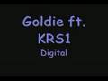 Goldie ft KRS1-Digital