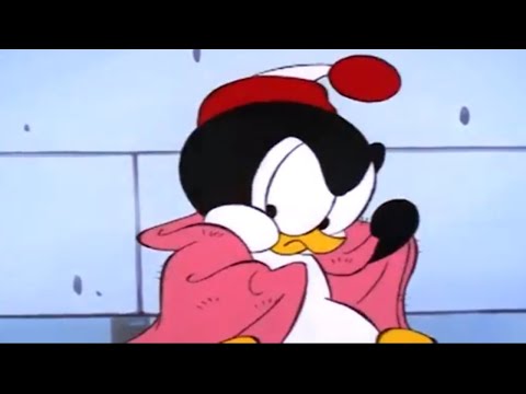 Chilly Willy en Español 🐧 Una nueva vida -  Capitulos completos 🐧Dibujos Animados