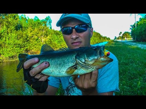 Agua Dulce Pesca con Mosca - Bass en Canales y Lagunas Video # 01Florida USA
