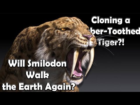 Smilodon Resurrection | How Close Are We to Cloning a Saber-Toothed Tiger
