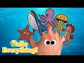 Sea Animals Finger Family Kids Songs And Nursery Rhymes