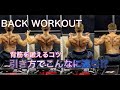背筋を広範囲にわたって鍛える事ができるラットプルのコツ[Back Workout]