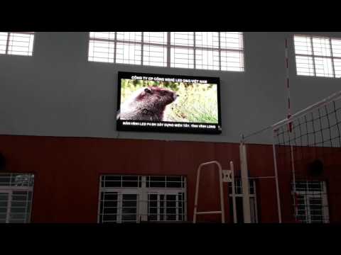 Video dự án