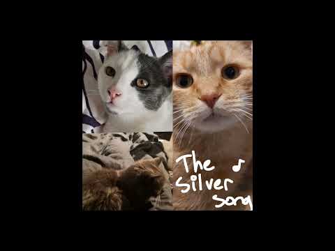 Chevy - I Knead You | Cover by TheSilverCat