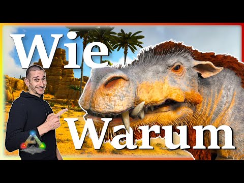 ARK Taming Guide | Daeodon zähmen & seine Fähigkeiten mit Humor