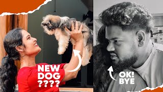 Download lagu New DOG വാങ്ങിച്ചാലൊ ? 😍 Dani Chettan തിരിച്ചു പോയി 🥹 mp3