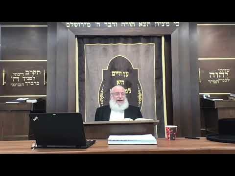 Pet Cuddles and Hoisting on Shabbos | Shiur by Harav Asher Weiss Shlita | 5784