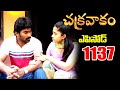 Episode 1137 Chakravakam Telugu Daily Serial Srikanth Entertainments Loud Speaker