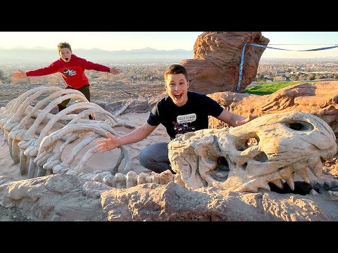 T-REX in my Backyard!