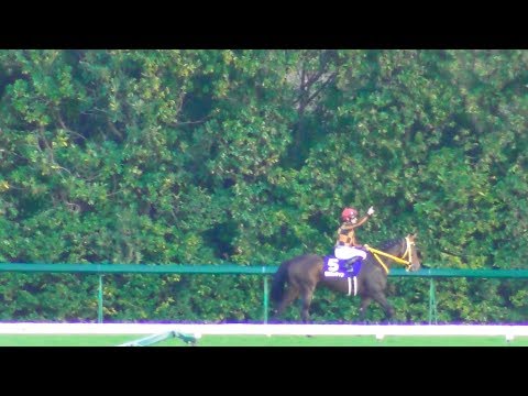 現地映像、モズカッチャンがエリザベス女王杯を勝利。ミルコ・デムーロは2年連続勝利。現地映像、京都競馬場