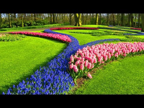 KEUKENHOF
