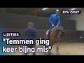 Van paardentemmer tot hoefsmid: 4x passie voor paardensport | RTV Oost