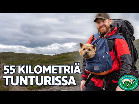 Hetta-Pallas vaellus | 2021