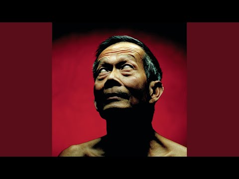 Videoclip de Le plus juste effet (Irie) — Mass Hysteria