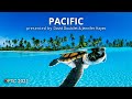 PACIFIC! with David Doubilet & Jennifer Hayes | OPTIC 2021
