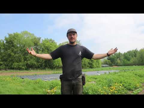 Spring 2024 Self-Guided Tour - Stop 1 | Ottawa Farm Fresh