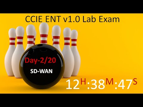 CCIE Enterprise Infrastructure v1.0 Lab Exam - Pass for Sure 2/20 - SDWAN