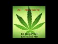 Zol Max Hurrell DJ Rian Pelati Extended Remix