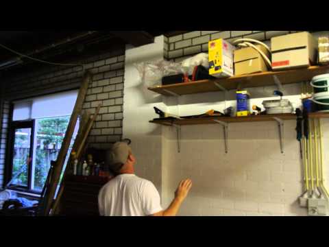 Funny Kitty the Cat jumps down into owners arms