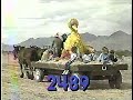 Sesame Street Episode 2489 1988 Big Bird Writes A Long Letter To Maria And Luis