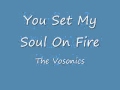 The Vosonics - You set my soul on fire 