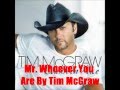 Mr Whoever You Are By Tim McGraw *Lyrics in description*