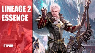 Стрим Lineage 2 Essence — Качаемся и деремся за споты на новых серверах