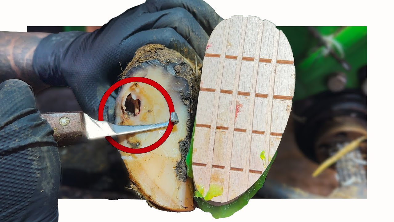 you can HEAR the INSTANT RELIEF from this problem!