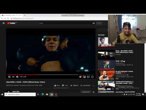 Reactionez la AlbertNBN X NANE - ZORO